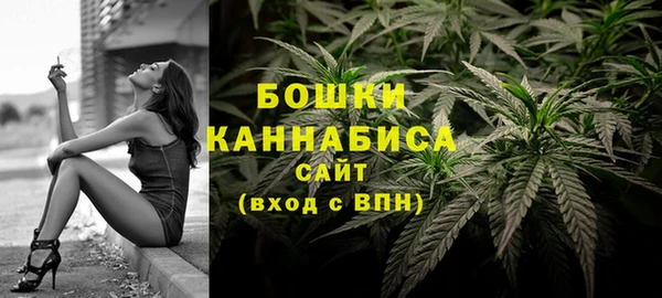 трава Балахна