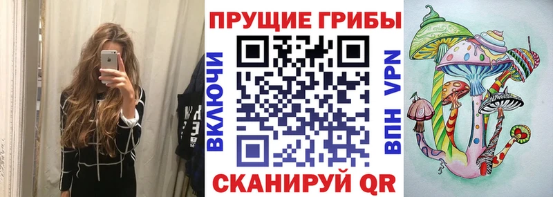 kraken сайт  Ногинск  Галлюциногенные грибы прущие грибы 